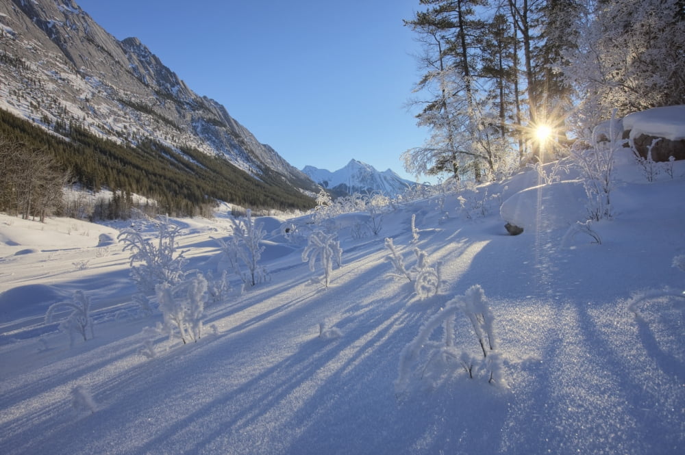 Posterazzi Sunlight Breaking Through Trees On Snow-Covered Medicine Lake Jasper National Park Alberta Canvas Art - Dan Jurak Design Pics (34 x 22)