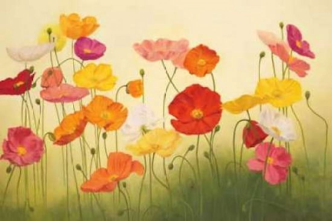 Posterazzi Sunlit Poppies Canvas Art - Janelle Kroner (20 x 28)