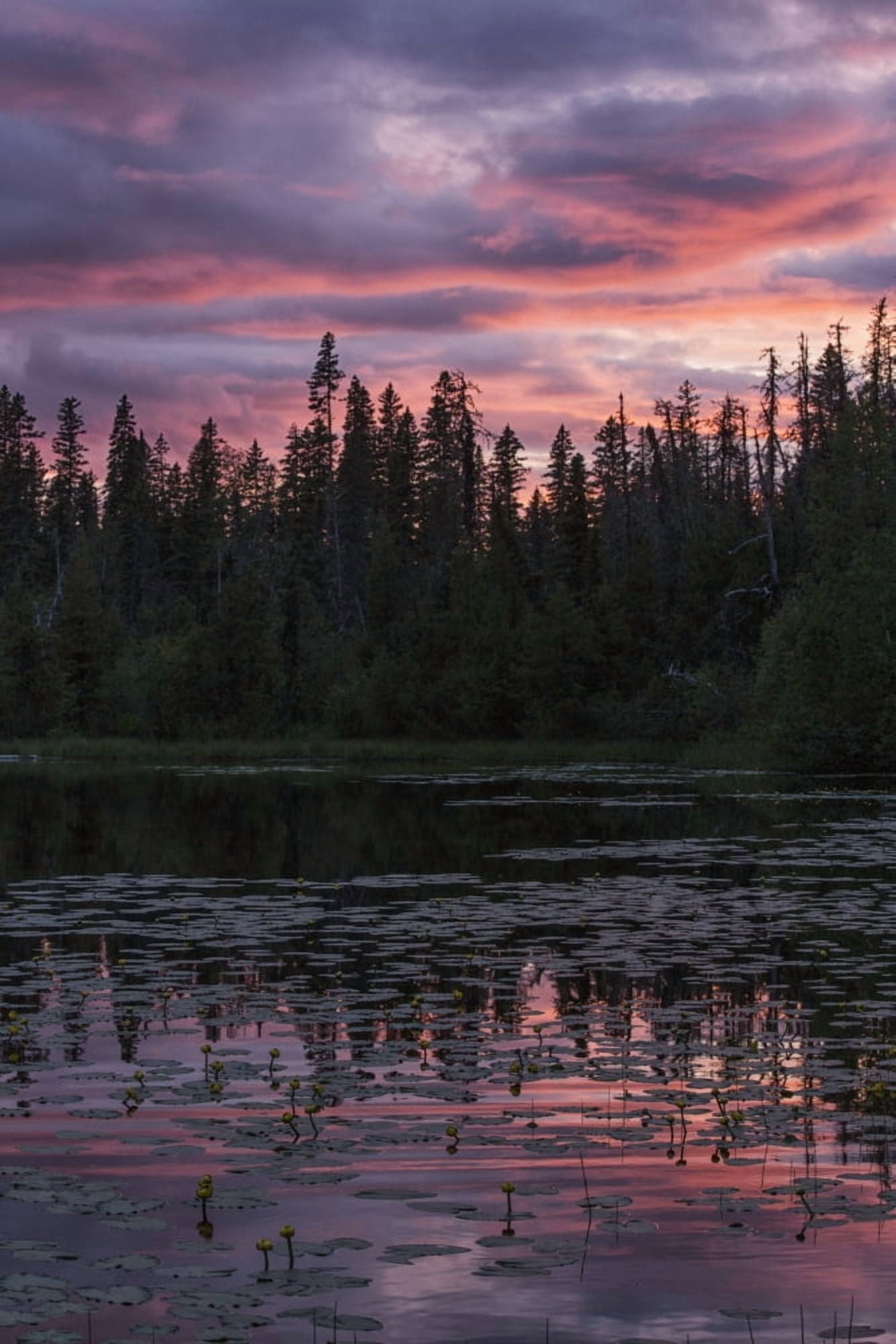 Posterazzi Sunset over a small beaver pond along the Yellowhead Highway near Smithers British Columbia Canada Canvas Art - Robert Postma Design Pics (24 x 38)