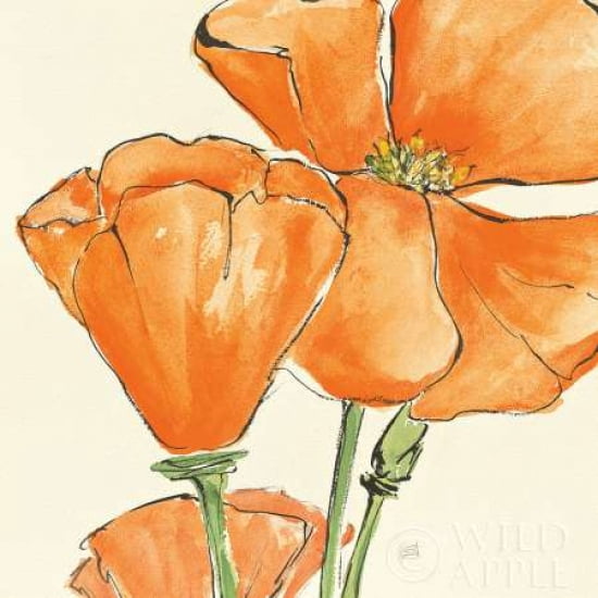 Posterazzi Sunshine Poppy III Canvas Art - Chris Paschke (24 x 24)