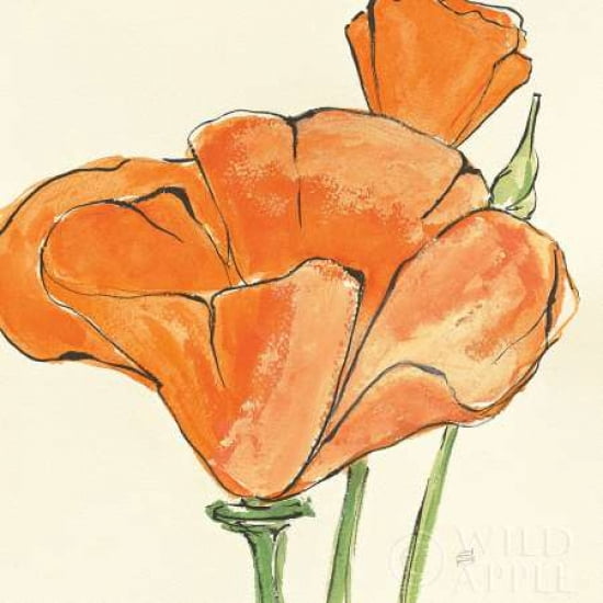 Posterazzi Sunshine Poppy IV Canvas Art - Chris Paschke (24 x 24)