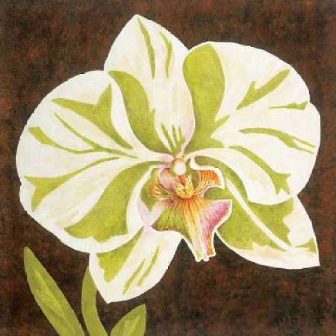 Posterazzi Surabaya Orchid Petites A Canvas Art - Judy Shelby (24 x 24)
