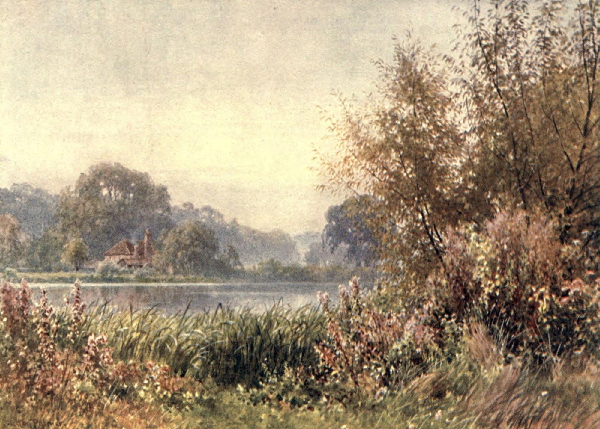 Posterazzi Surrey 1906 Autumn weeds Chilworth Canvas Art - Harold Sutton Palmer (24 x 36)