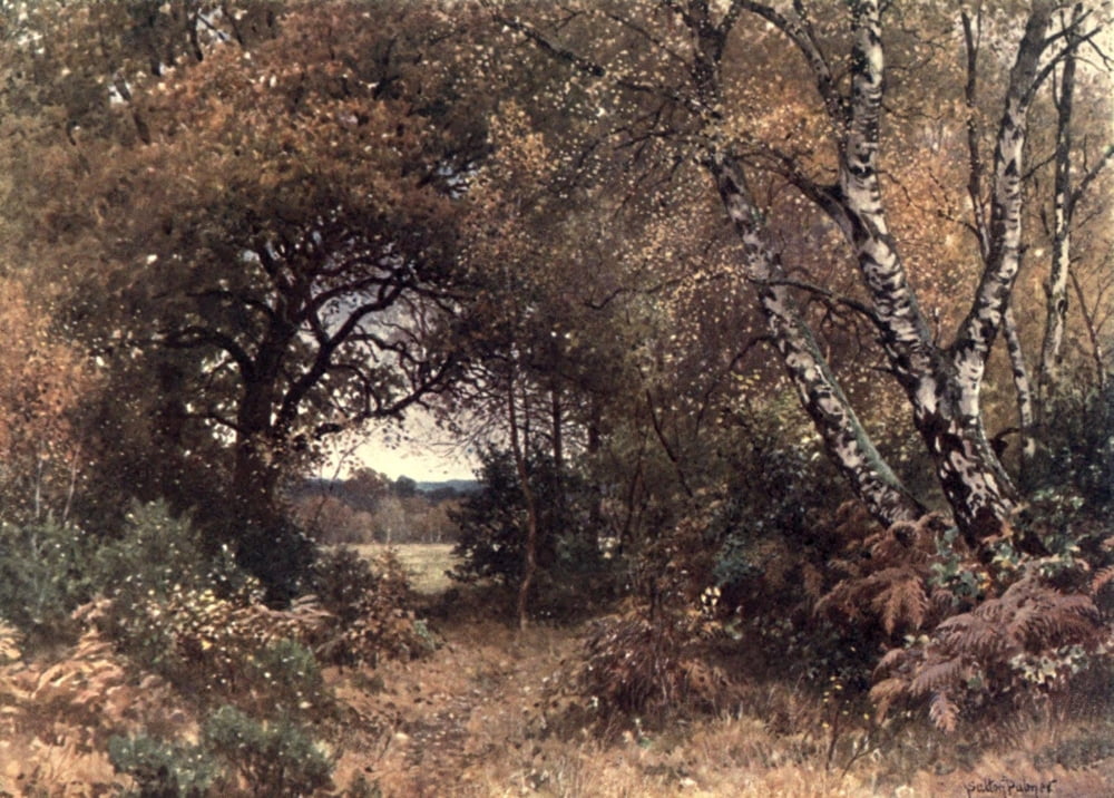 Posterazzi Surrey 1906 Edge of a wood Royal Common Canvas Art - Harold Sutton Palmer (24 x 36)