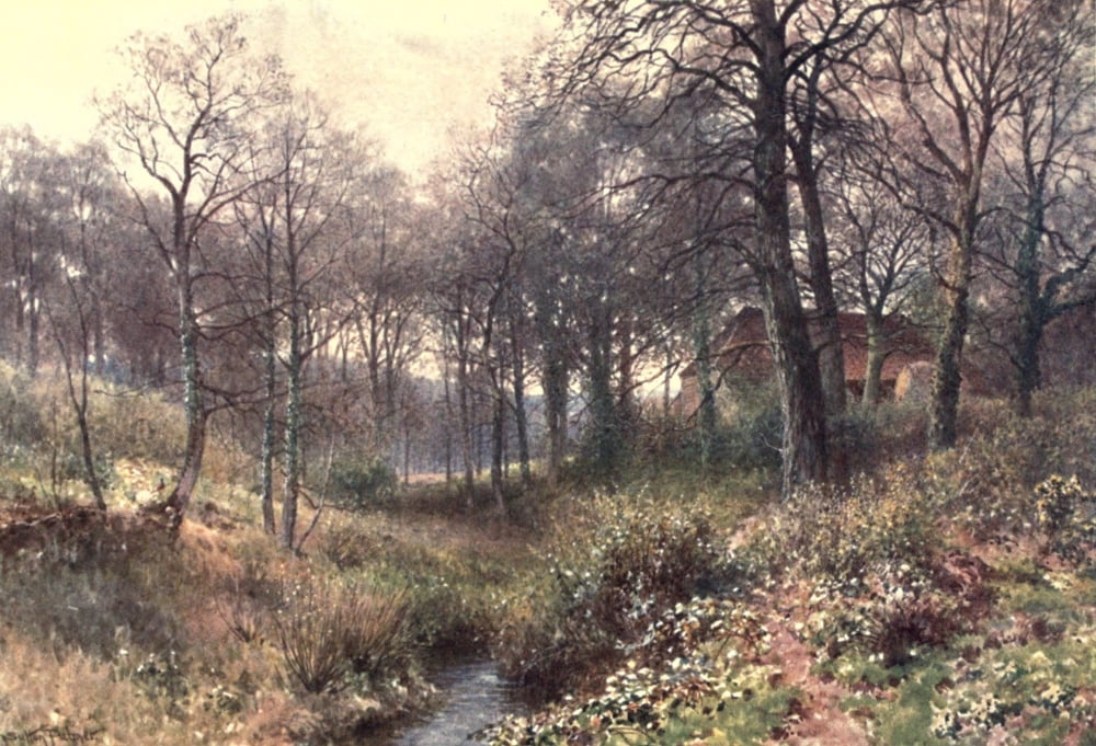 Posterazzi Surrey 1906 Farm midst the woods near Haslemere Canvas Art - Harold Sutton Palmer (24 x 36)