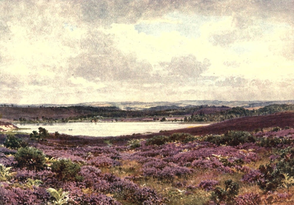 Posterazzi Surrey 1906 Great Pond Frensham Canvas Art - Harold Sutton Palmer (24 x 36)