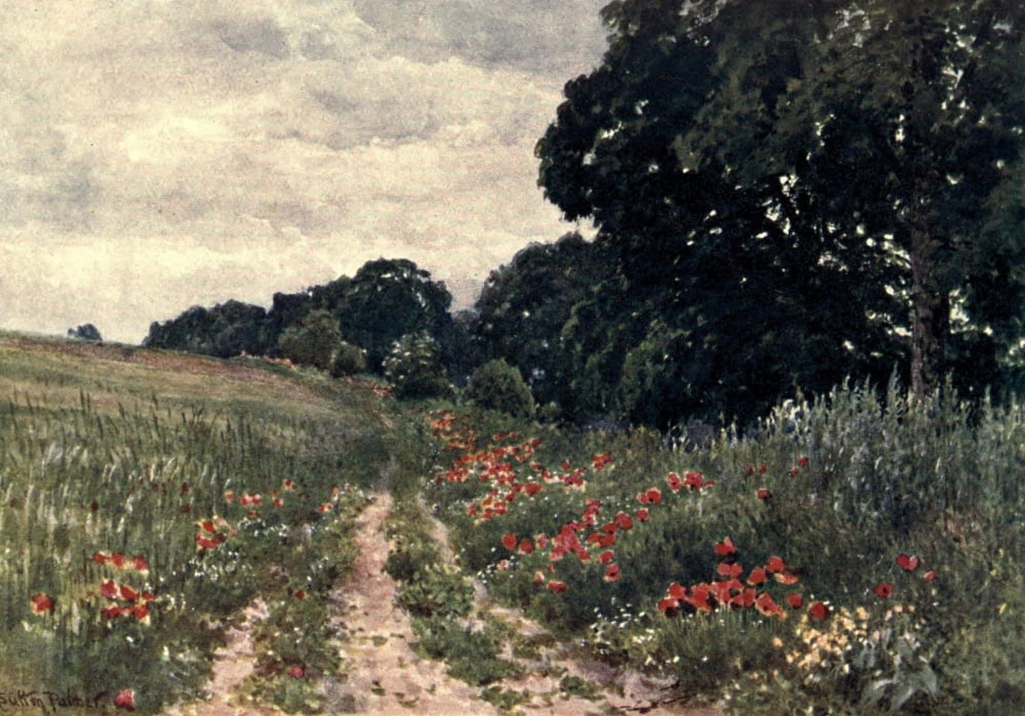 Posterazzi Surrey 1906 Poppies Canvas Art - Harold Sutton Palmer (24 x 36)