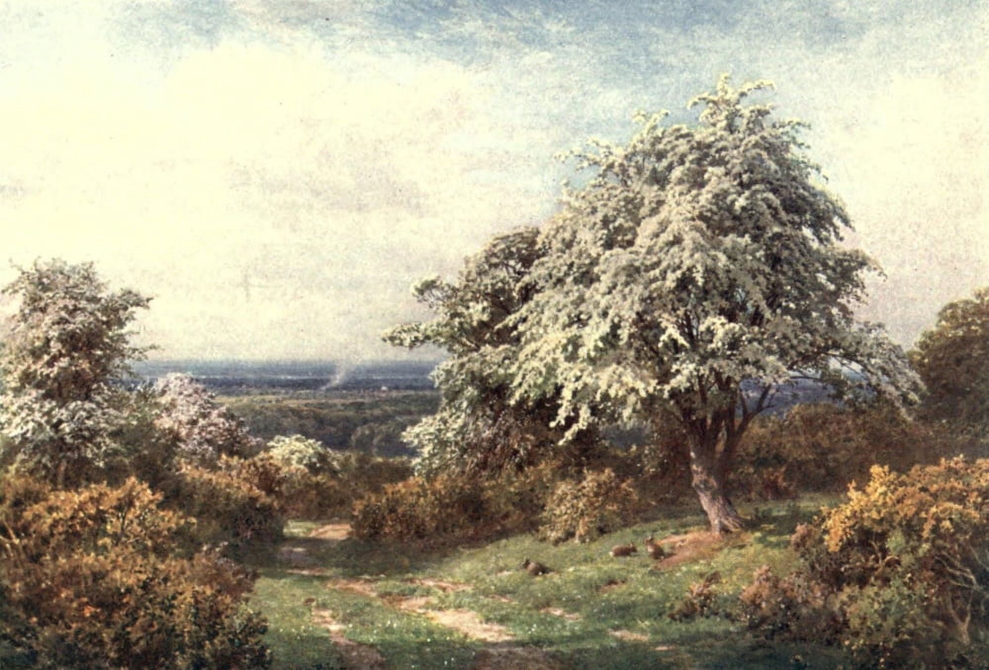 Posterazzi Surrey 1906 Pride of Spring Newlands Corner Canvas Art - Harold Sutton Palmer (24 x 36)