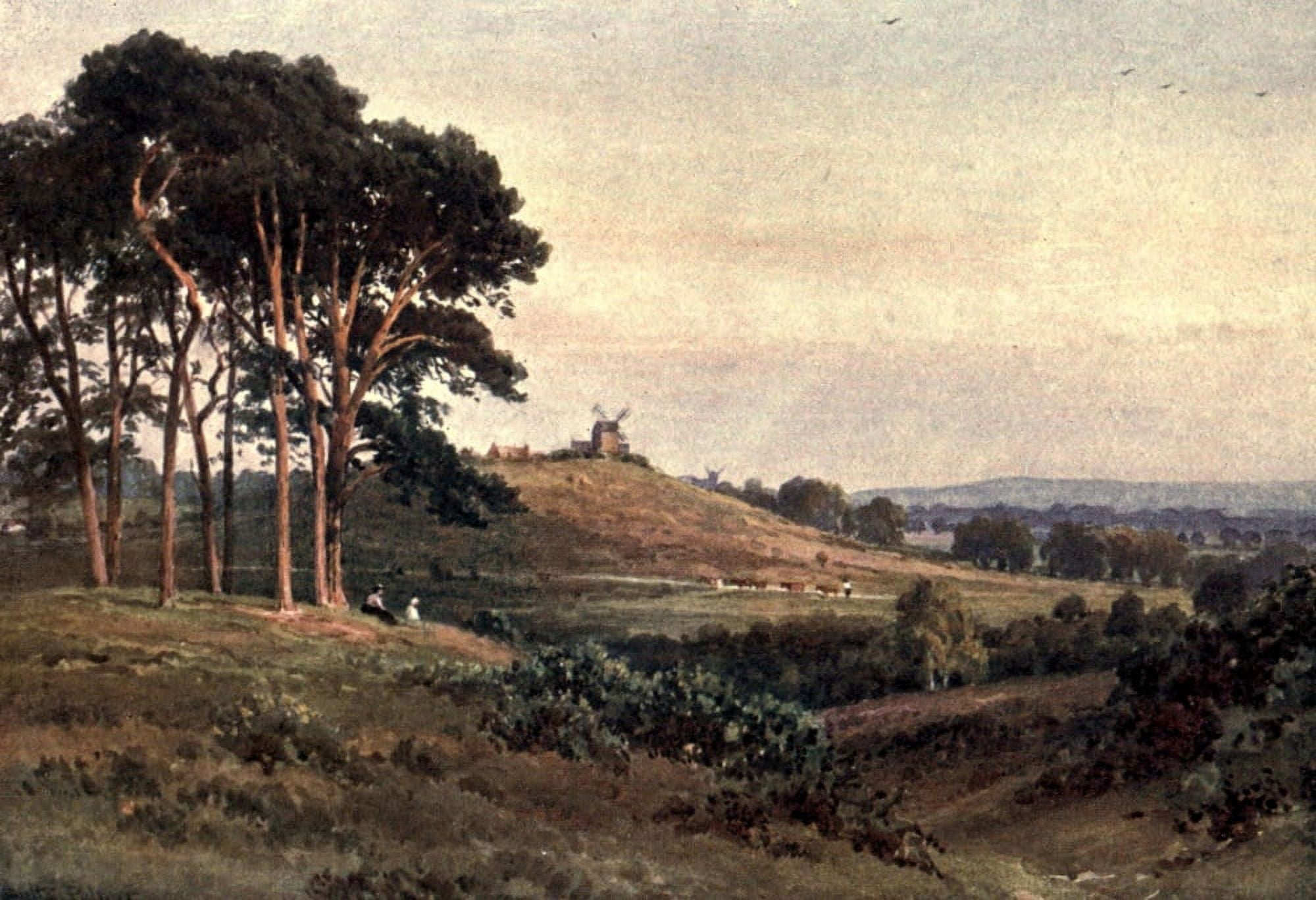 Posterazzi Surrey 1906 Reigate Heath in the evening Canvas Art - Harold Sutton Palmer (24 x 36)