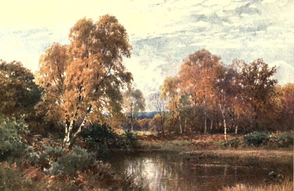 Posterazzi Surrey 1906 The waning year Canvas Art - Harold Sutton Palmer (24 x 36)