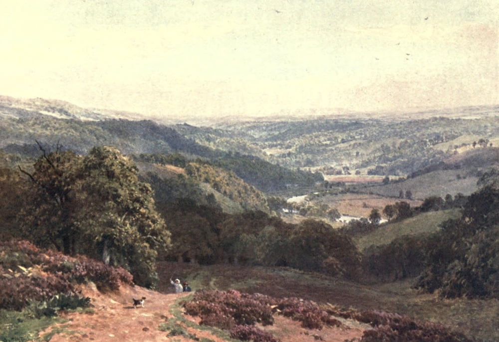 Posterazzi Surrey 1906 Vale of Albury from St Marthas Hill Canvas Art - Harold Sutton Palmer (24 x 36)