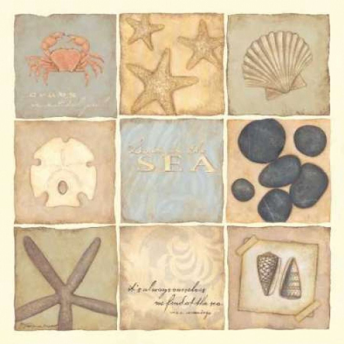 Posterazzi Swim in the Sea Canvas Art - Stephanie Marrott (24 x 24)