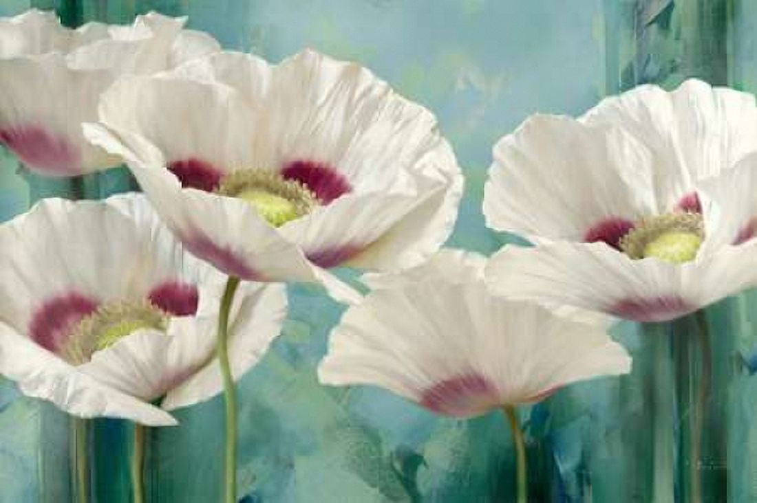 Posterazzi Tasmanian Poppies II Canvas Art - Igor Levashov (24 x 36)