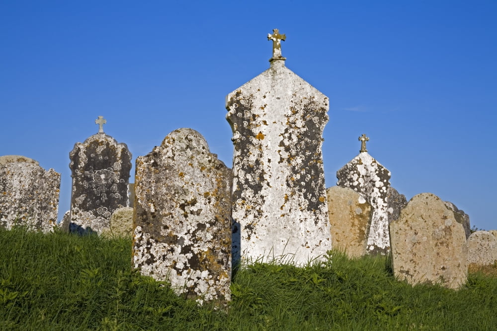 Posterazzi Templetown Hook Head County Wexford Ireland Medieval Graveyard Canvas Art - Richard Cummins Design Pics (34 x 22)