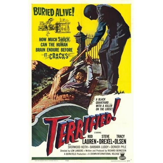 Posterazzi MOV216144 Terrified Movie Poster - 11 x 17 in.