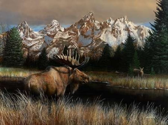 Posterazzi Teton Majesty Canvas Art - Kevin Daniel (18 x 24)