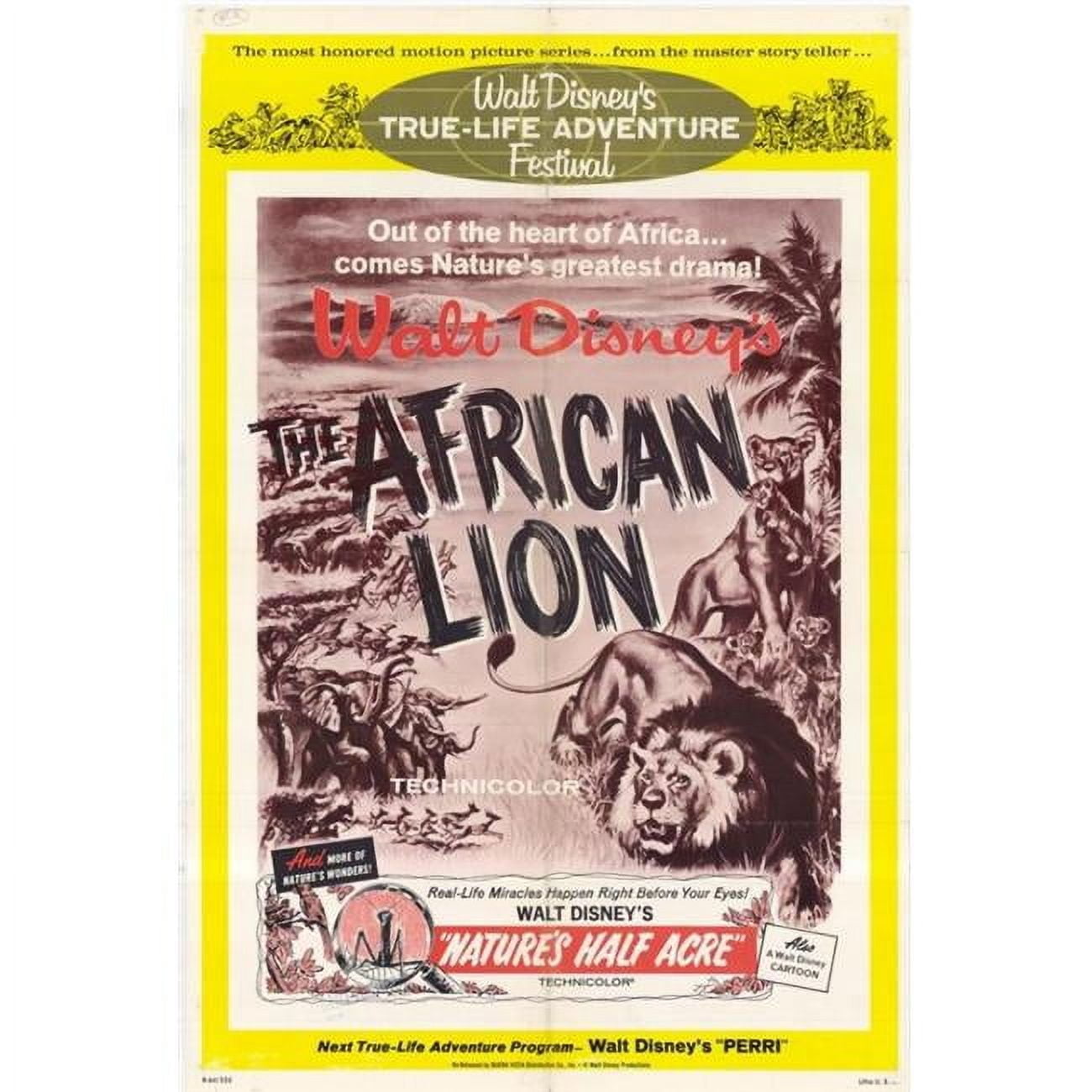 Posterazzi The African Lion Movie Poster - 27 x 40 in. - Walmart.com