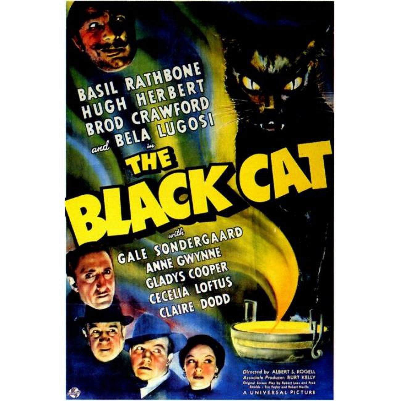 Posterazzi The Black Cat Movie Poster - 27 x 40 in. - Walmart.com