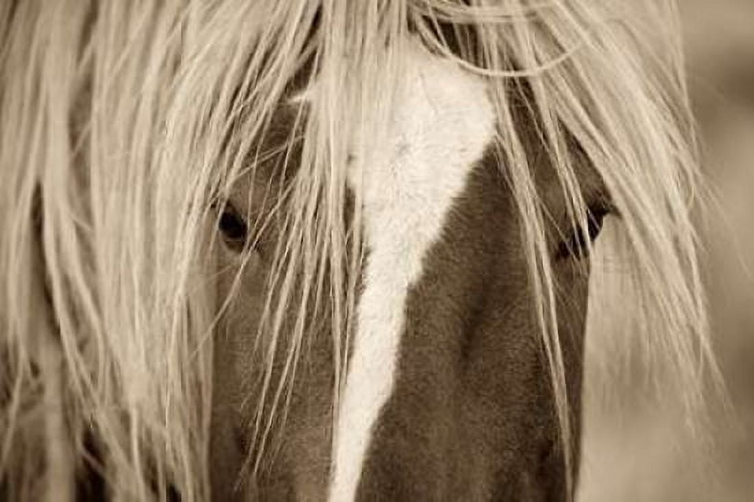 Posterazzi The Blonde Canvas Art - Lisa Dearing (24 x 36)