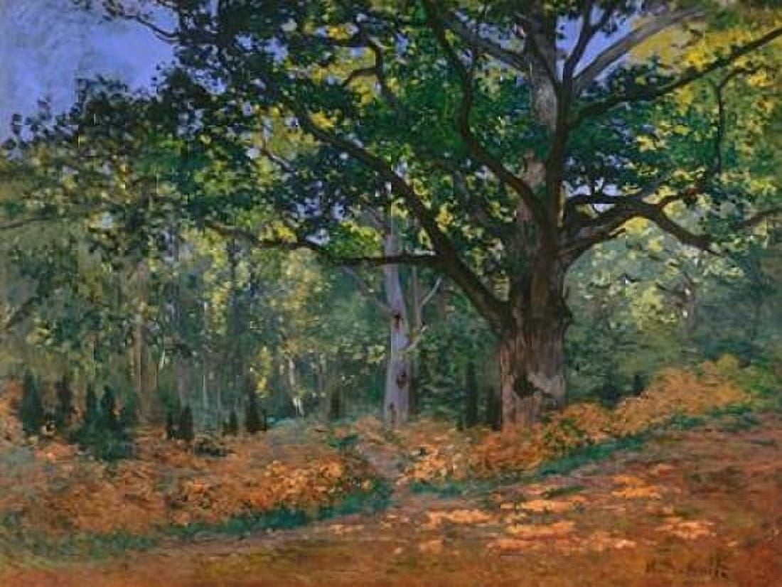 Posterazzi The Bodmer Oak Fontainebleau Forest Canvas Art - Claude Monet (22 x 28)
