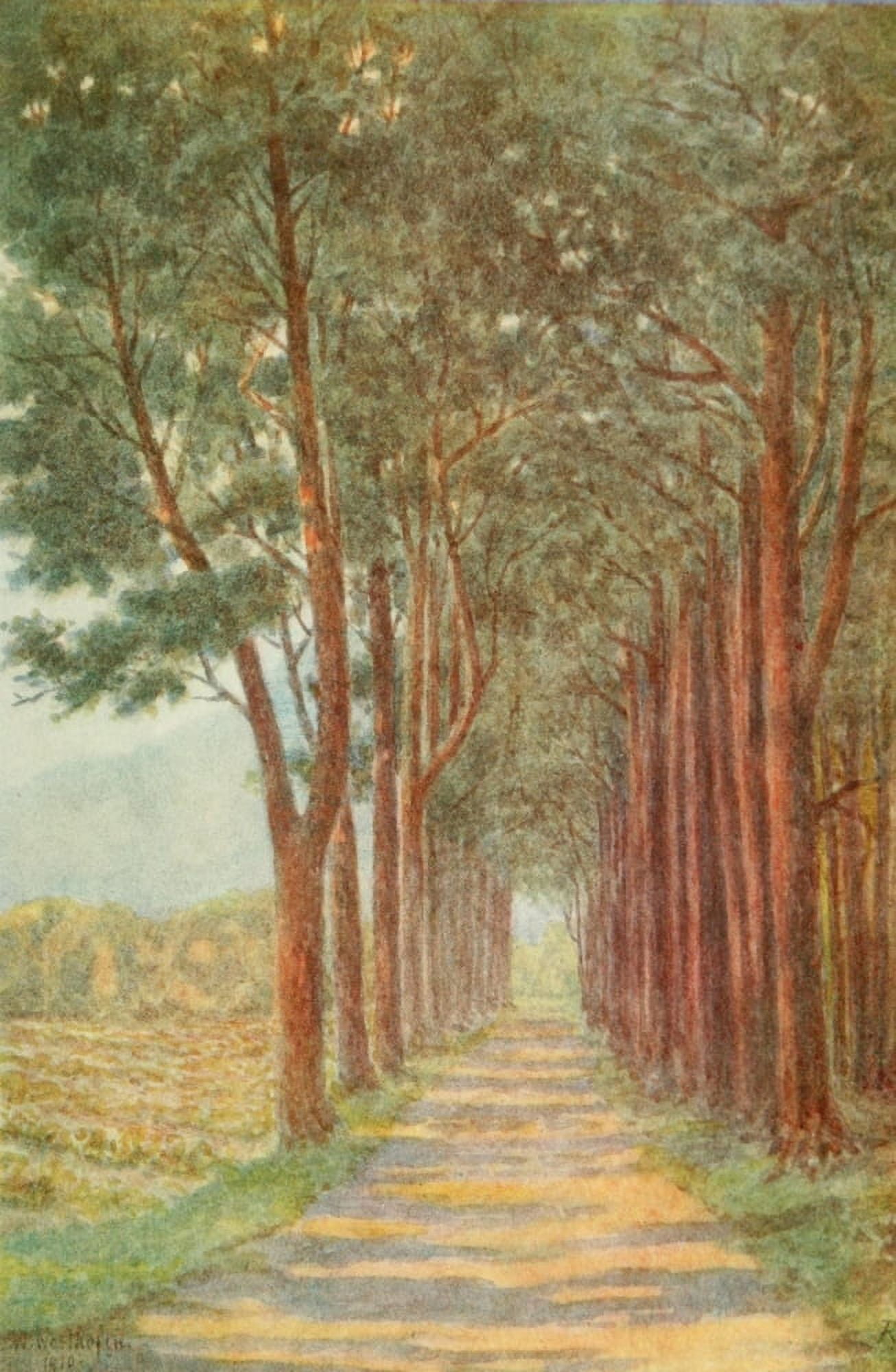 Posterazzi The Cape Peninsula 1910 Fir Avenue Alphen Canvas Art - Wilhelm Westhofen (24 x 36)
