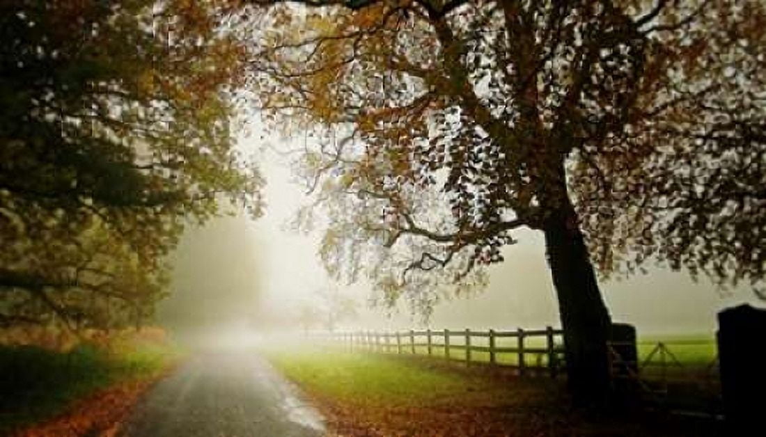 Posterazzi The Fog Canvas Art - Adelino Goncalves (24 x 36)