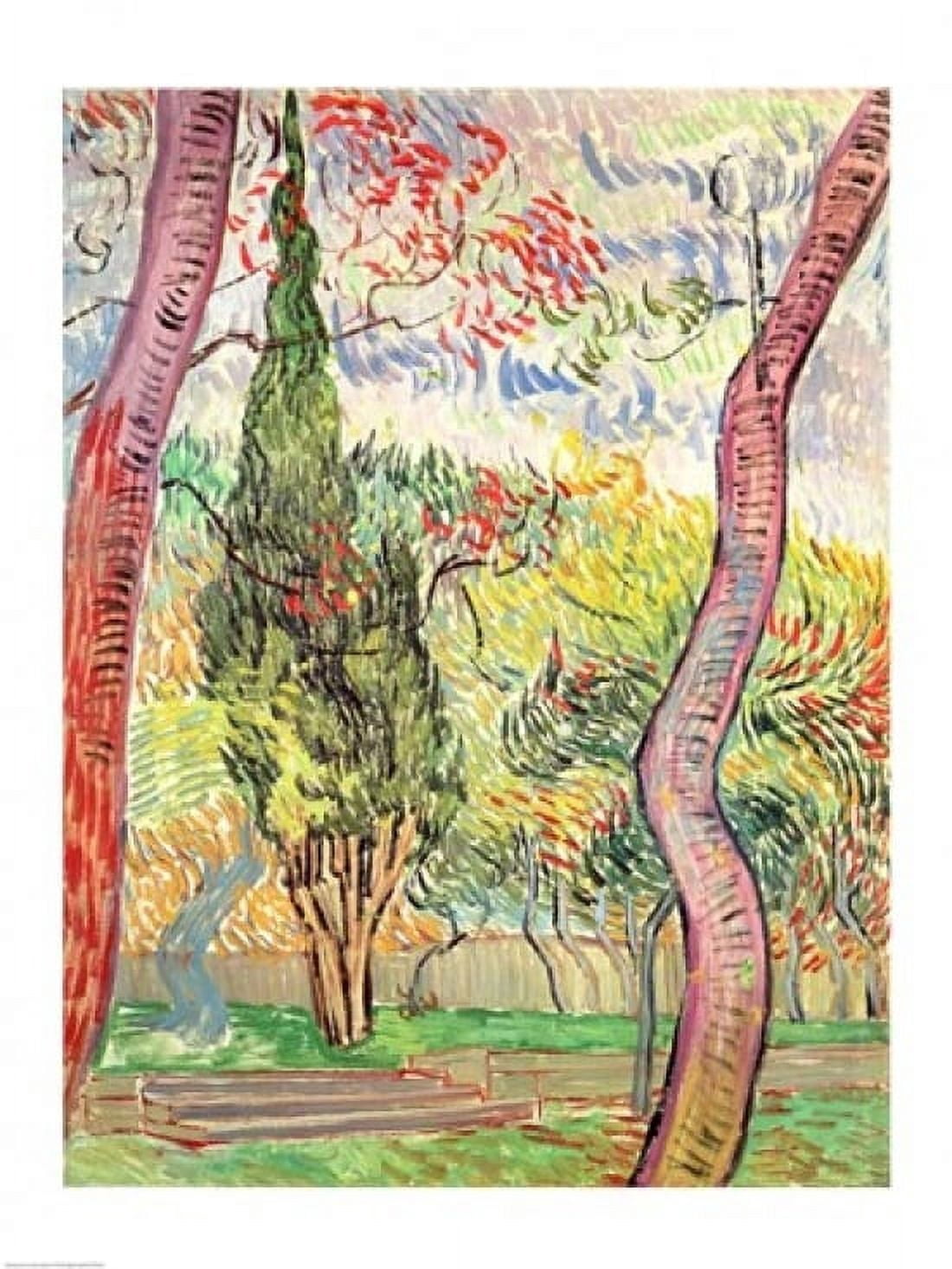 Posterazzi The Garden of St Pauls Hospital St Remy October 1889 Canvas Art - Vincent Van Gogh (24 x 36)
