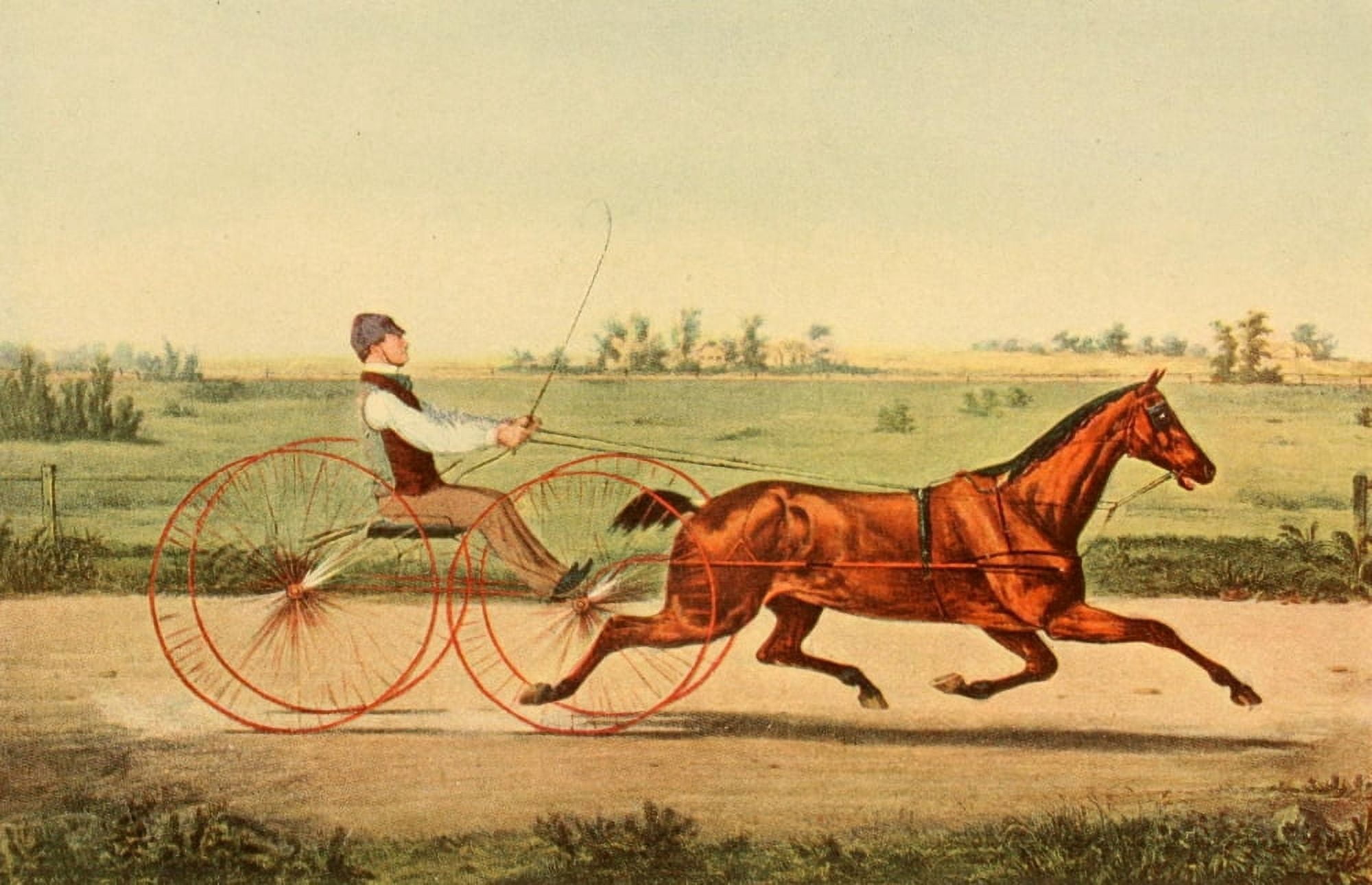Posterazzi The Horse in America 1905 Horse and trap Canvas Art - Unknown (24 x 36)