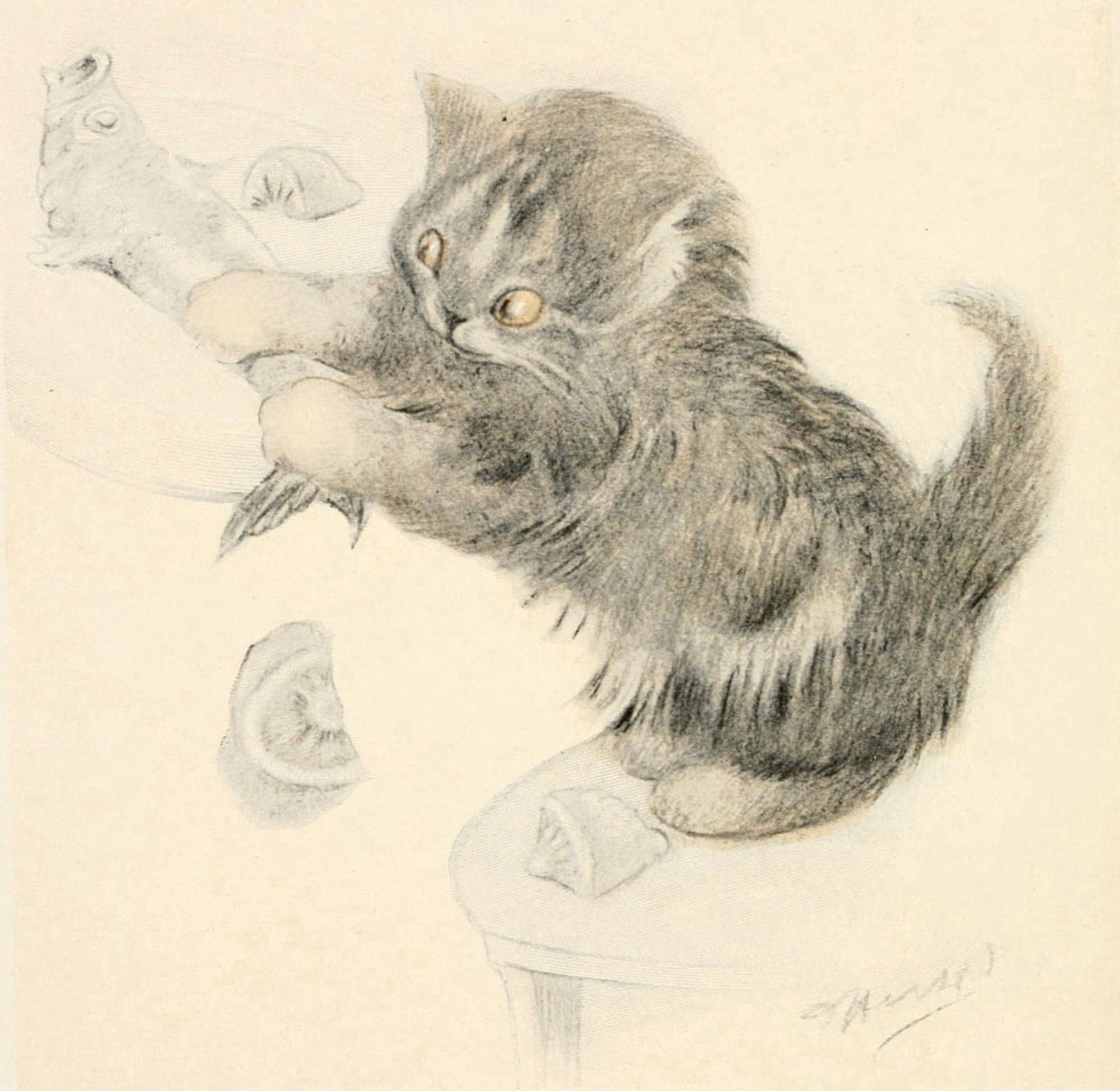 Posterazzi The Kittens Garden of Verses 1911 Fish-stealing Canvas Art - Oliver Herford (24 x 36)