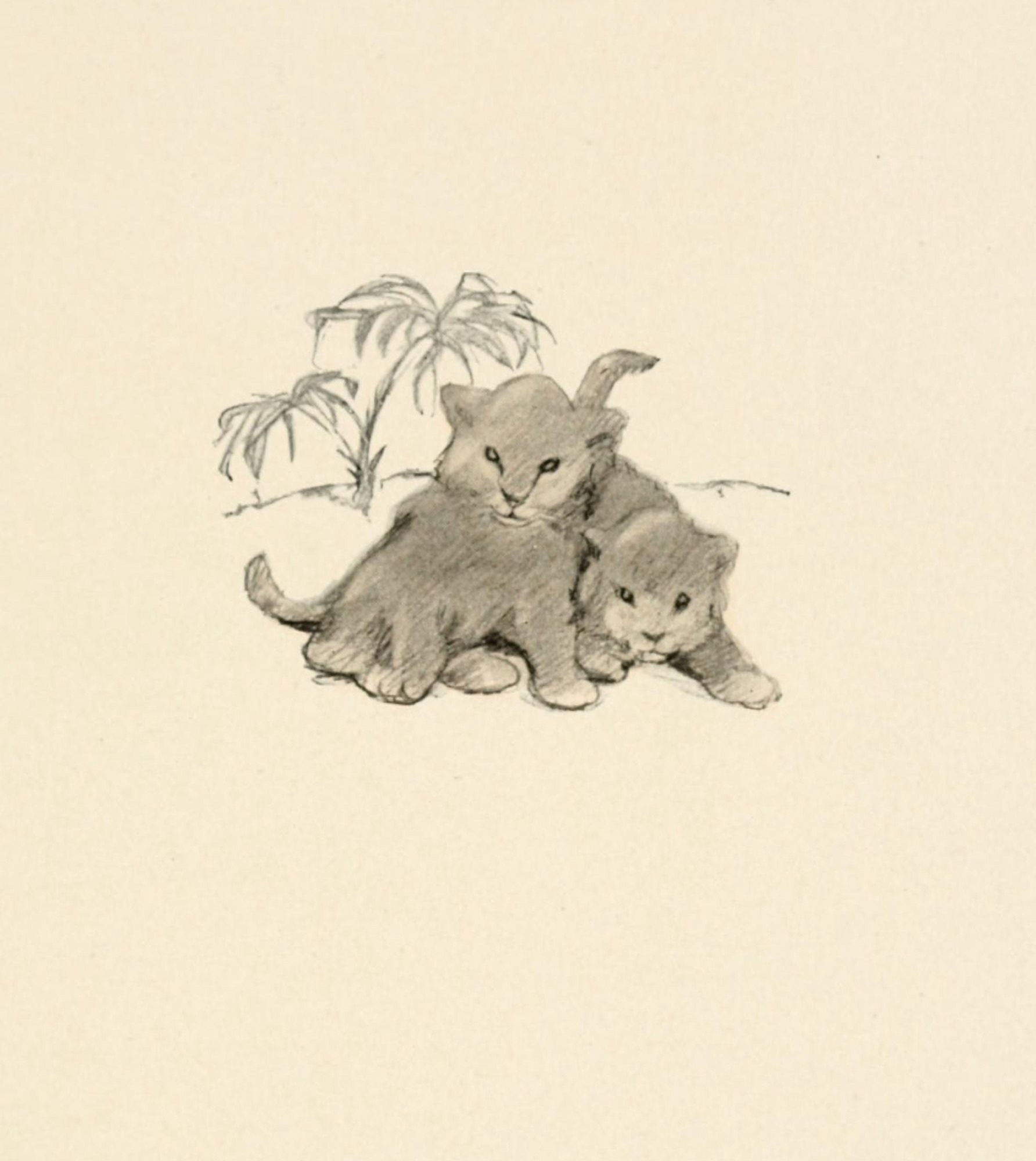 Posterazzi The Kittens Garden of Verses 1911 Palm tree cats Canvas Art - Oliver Herford (24 x 36)