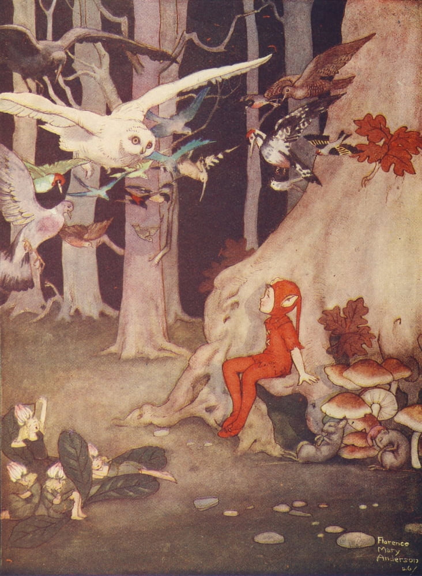 Posterazzi The Land where Stories Grow 1929 Down came the white owl Canvas Art - Florence M Anderson (24 x 36)