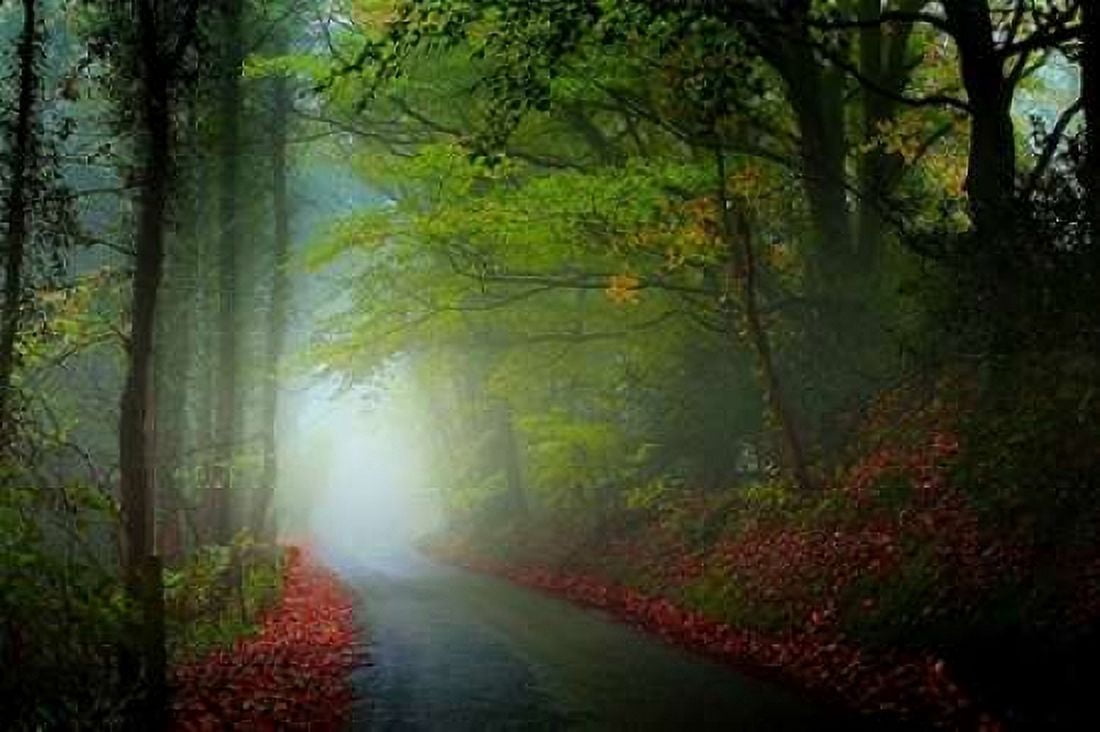 Posterazzi The Lane Canvas Art - Adelino Goncalves (24 x 36)