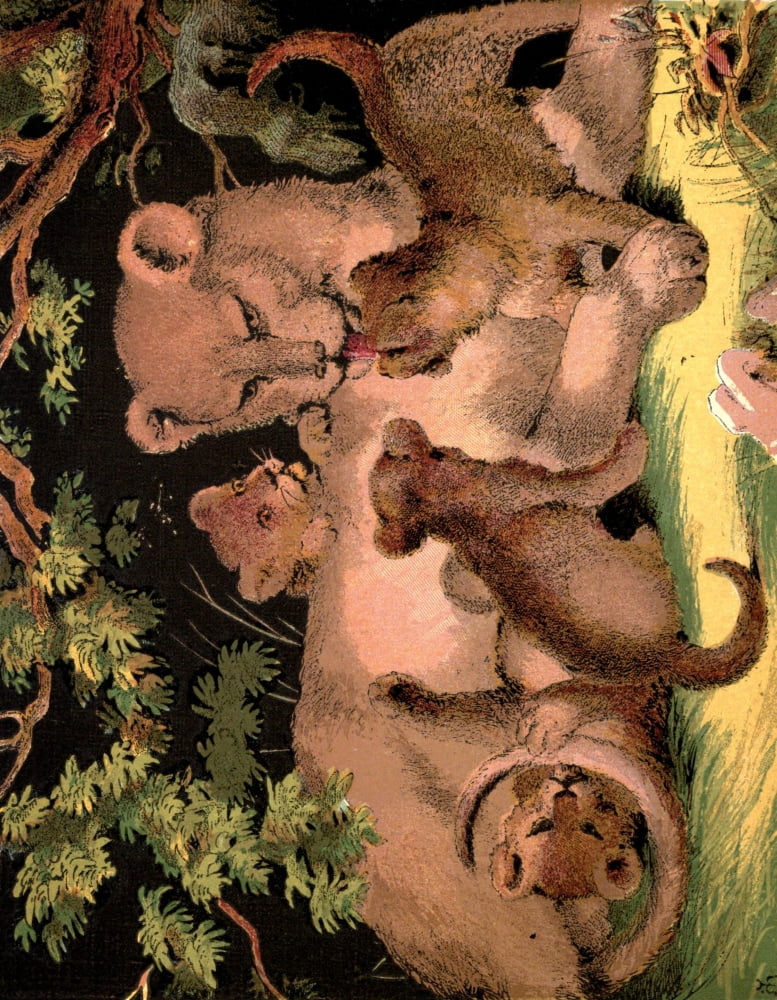 Posterazzi The Lion 1880 Lioness & Cubs Canvas Art - Unknown (24 x 36)