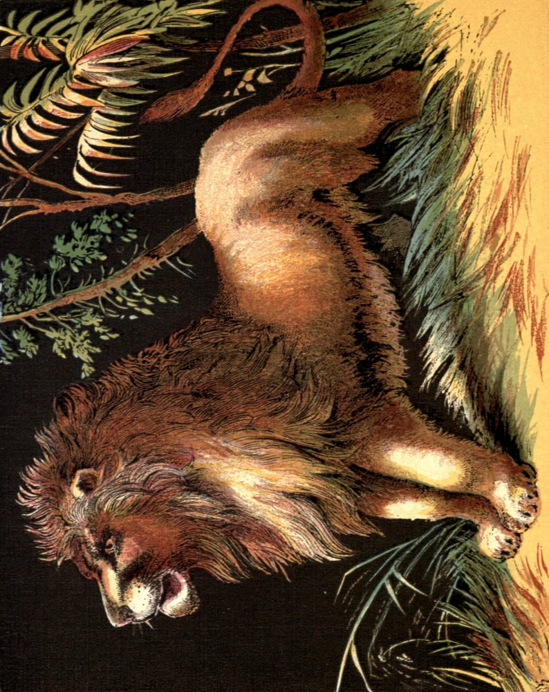 Posterazzi The Lion 1880 Male Lion Canvas Art - Unknown (24 x 36)