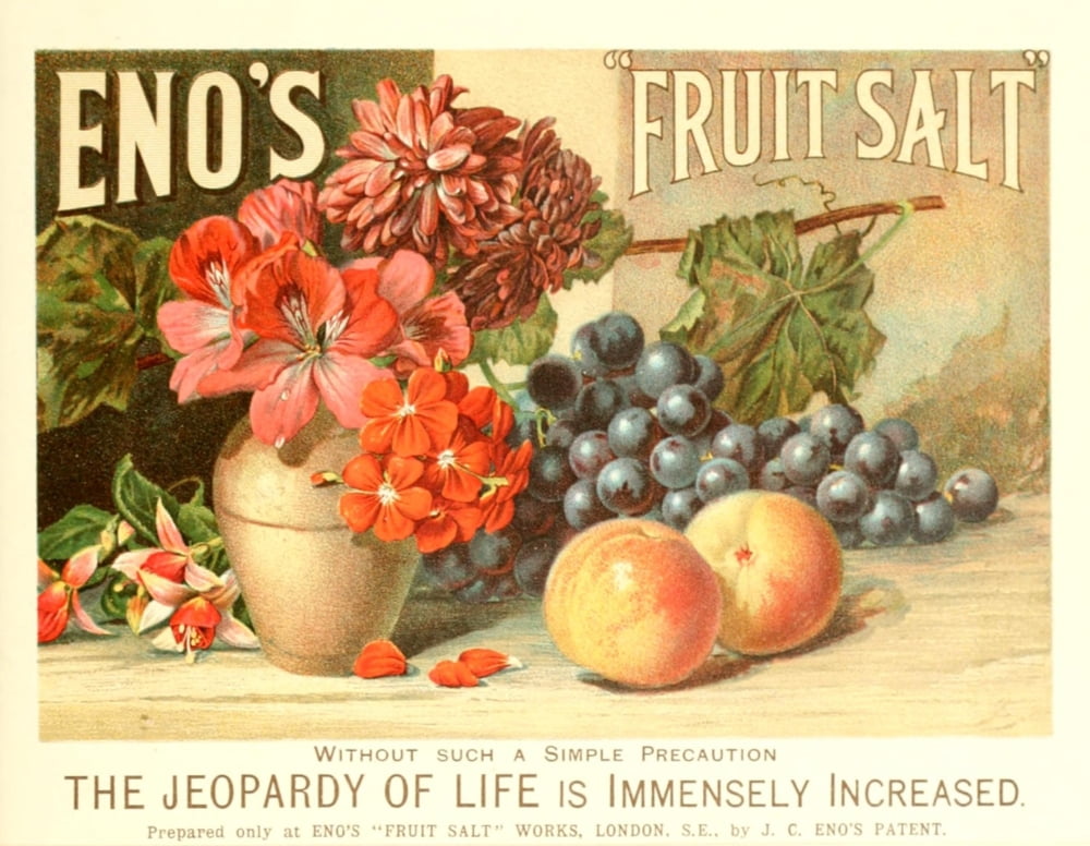 Posterazzi The Magazine of Art 1899 Enos Fruit Salt Canvas Art - Unknown (24 x 36)