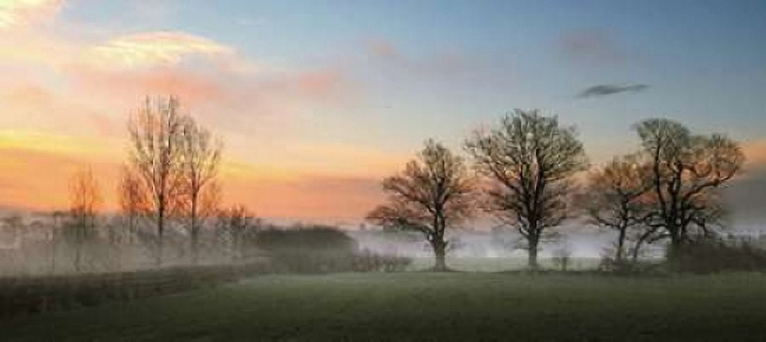 Posterazzi The Mist Canvas Art - Adelino Goncalves (24 x 48)