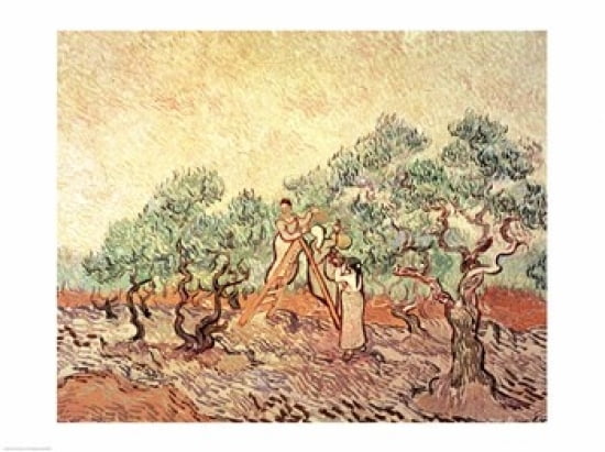 Posterazzi The Olive Grove 1889 Canvas Art - Vincent Van Gogh (36 x 24)