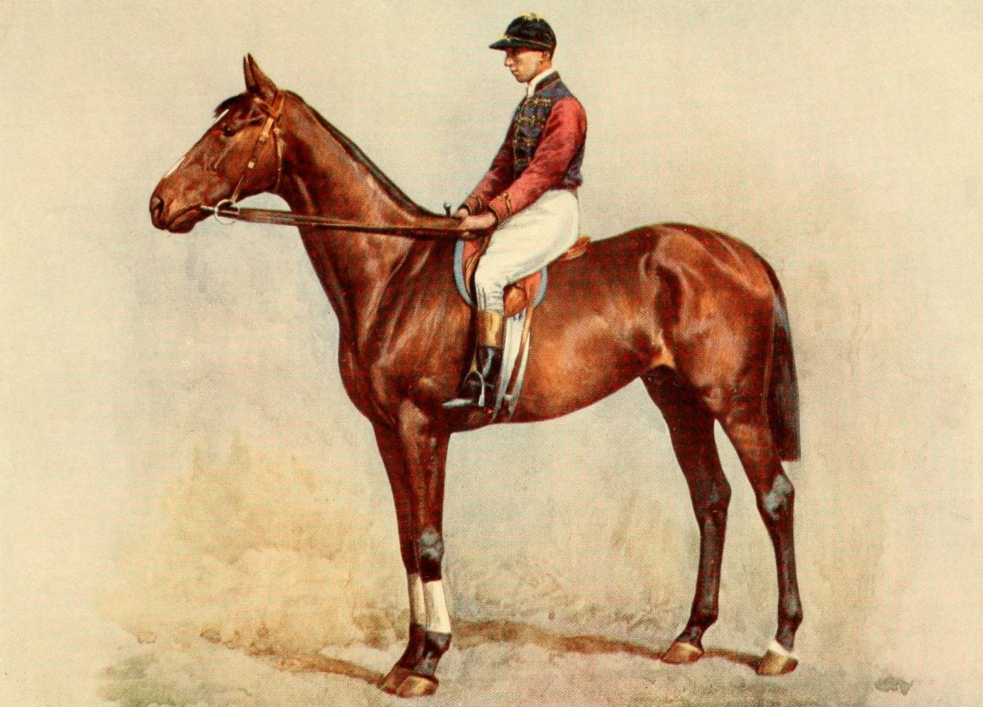 Posterazzi The Racing World and its Inhabitants 1904 Diamond Jubilee Canvas Art - Unknown (24 x 36)