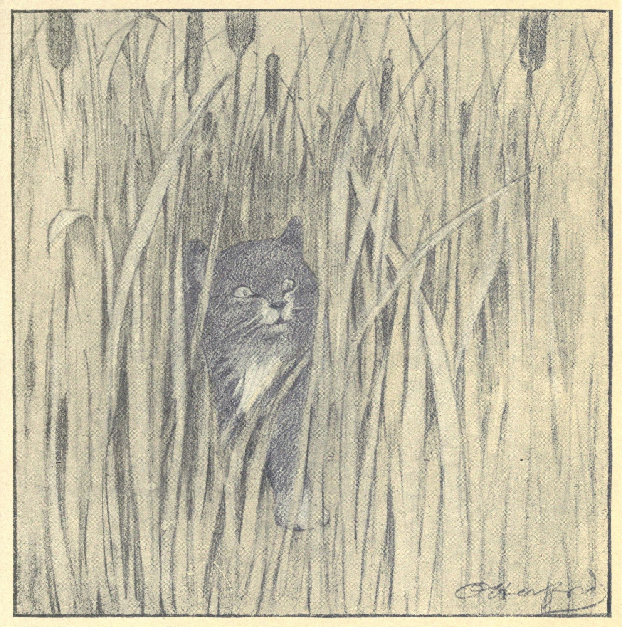 Posterazzi The Rubaiyat of a Persian Kitten 1906 In the bullrushes Canvas Art - Oliver Herford (24 x 36)