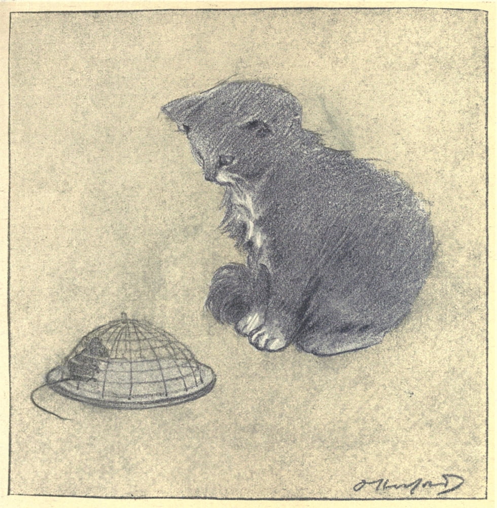 Posterazzi The Rubaiyat of a Persian Kitten 1906 Mouse-trap Canvas Art - Oliver Herford (24 x 36)