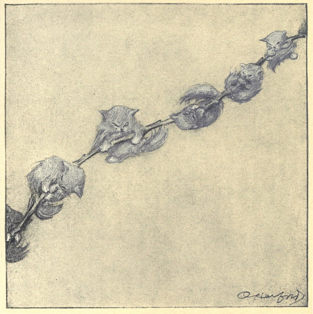 Posterazzi The Rubaiyat of a Persian Kitten 1906 Pussy willow Canvas Art - Oliver Herford (24 x 36)
