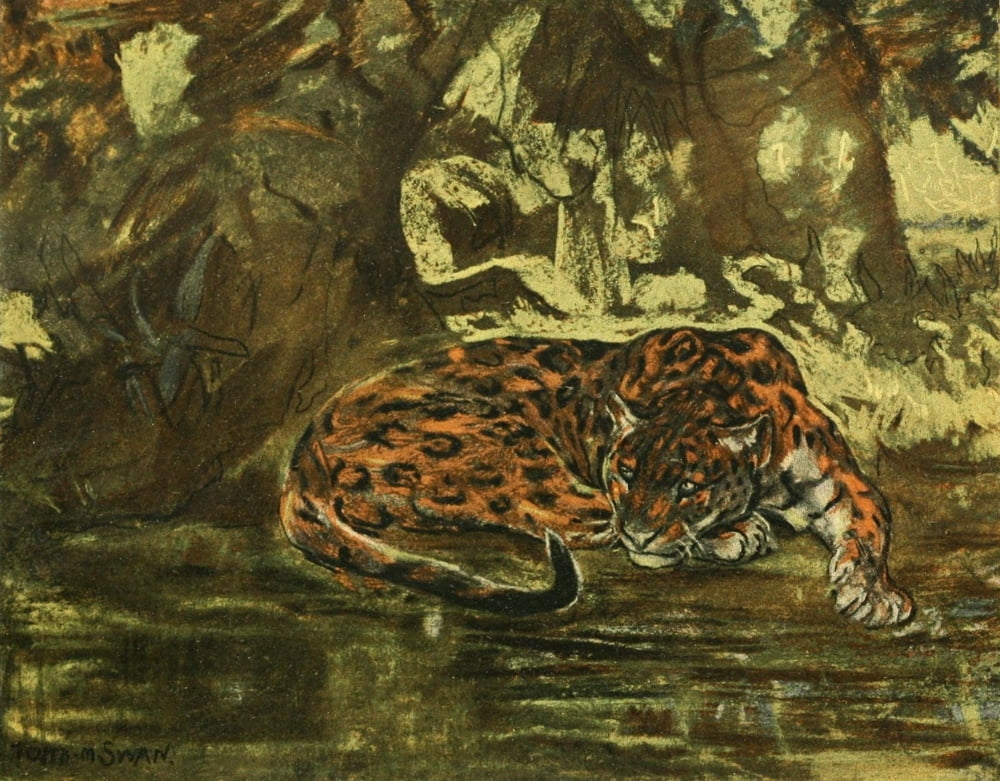Posterazzi The Studio 1900 Jaguar Canvas Art - John Macallan Swan (24 x 36)