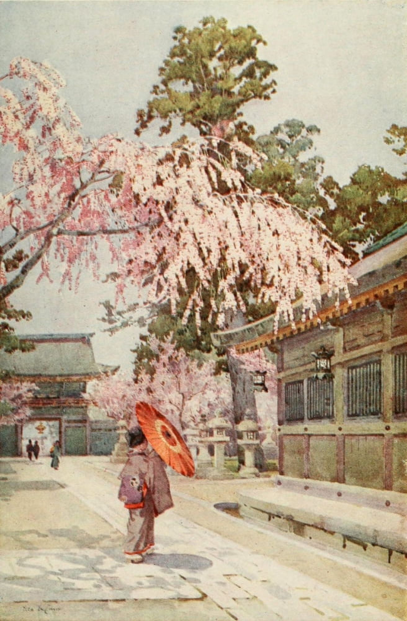 Posterazzi The drooping cherry Flowers & Gardens of Japan 1908 Canvas Art - Ella Du Cane (24 x 36)