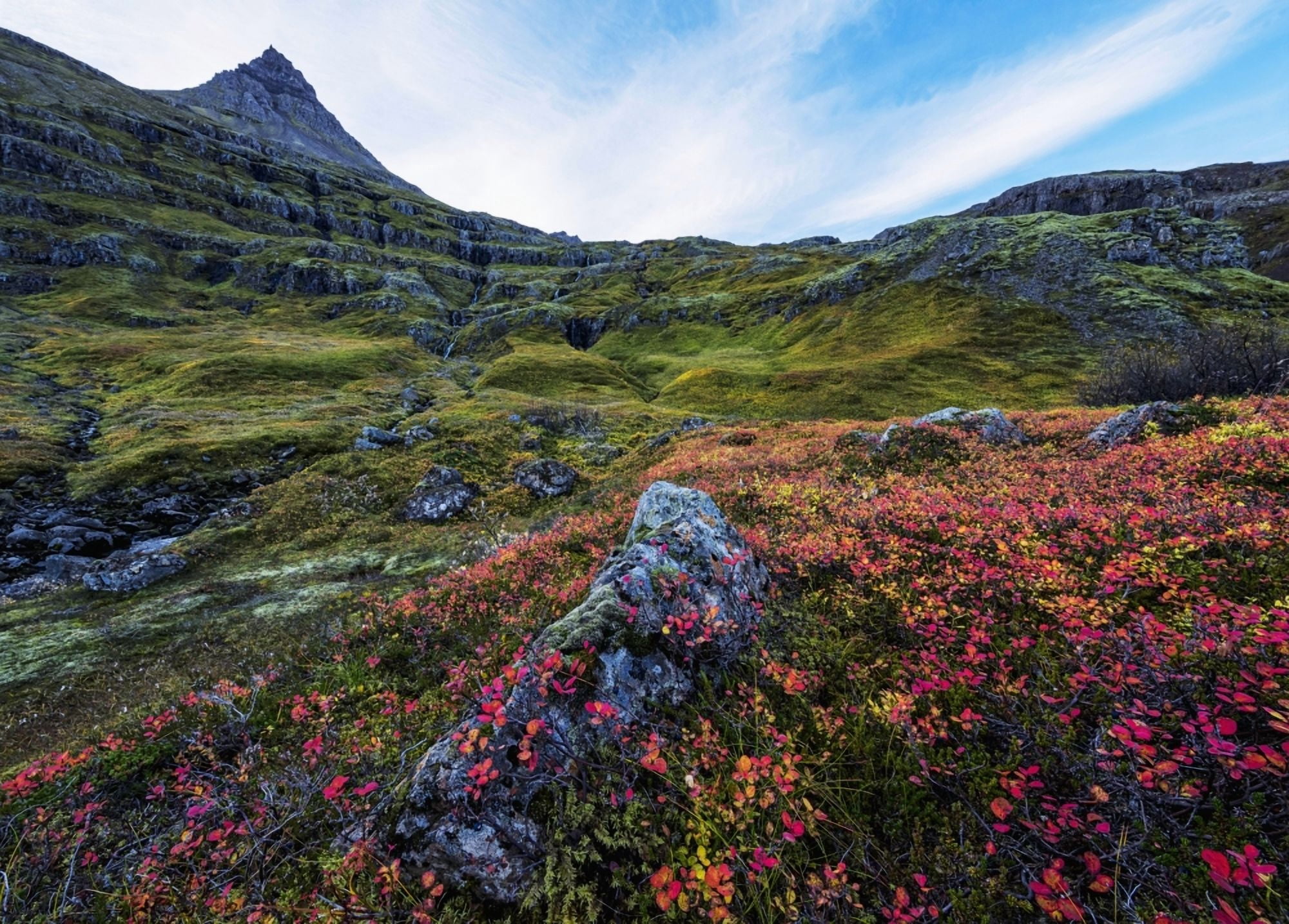 Posterazzi The valley in the fjord called Mjoifjordur on the eastern coast of Iceland Iceland Canvas Art - Robert Postma Design Pics (36 x 26)