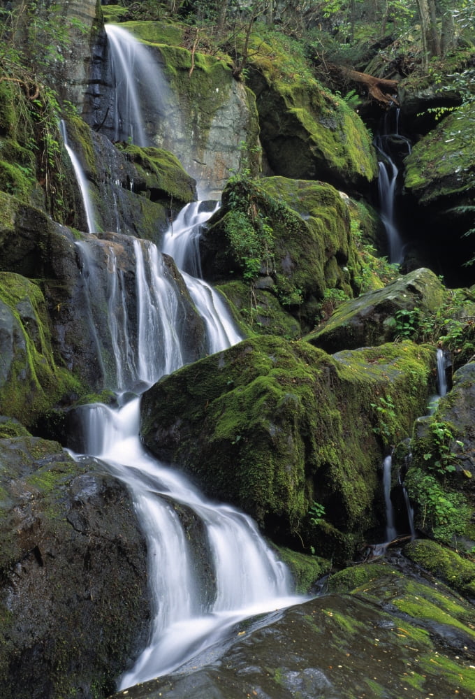 Posterazzi Thousand Drips Waterfall Roaring Fork Area Great Smoky Mountains National Park Tennessee Usa Canvas Art - Natural Selection Robert Cable Design Pics (24 x 36)