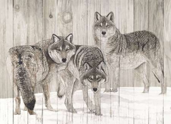 Posterazzi Three Grey Wolves on Wood Canvas Art - Jacquie Vaux (18 x 24)