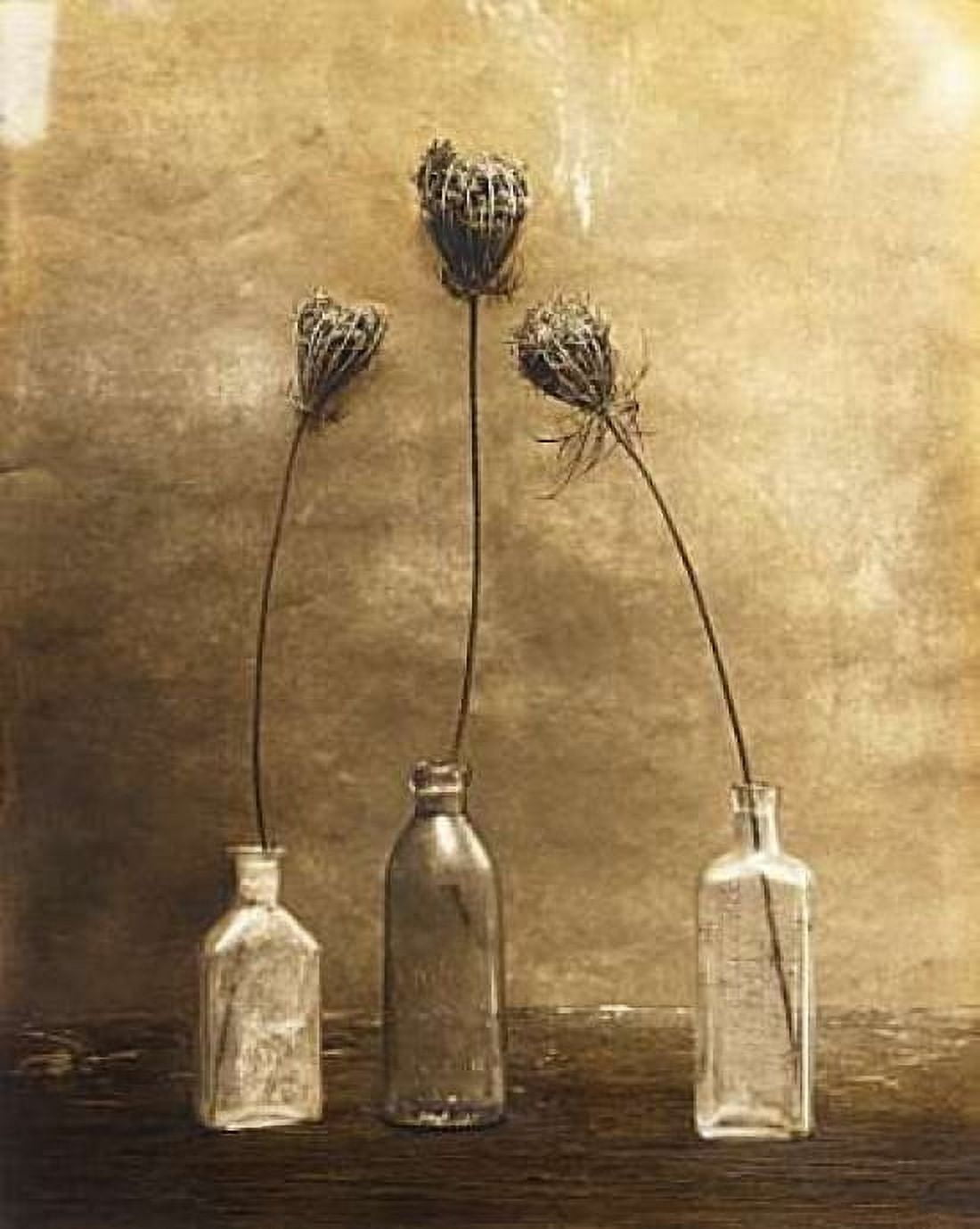 Posterazzi Three Views Canvas Art - Jan Gauthier (24 x 30)