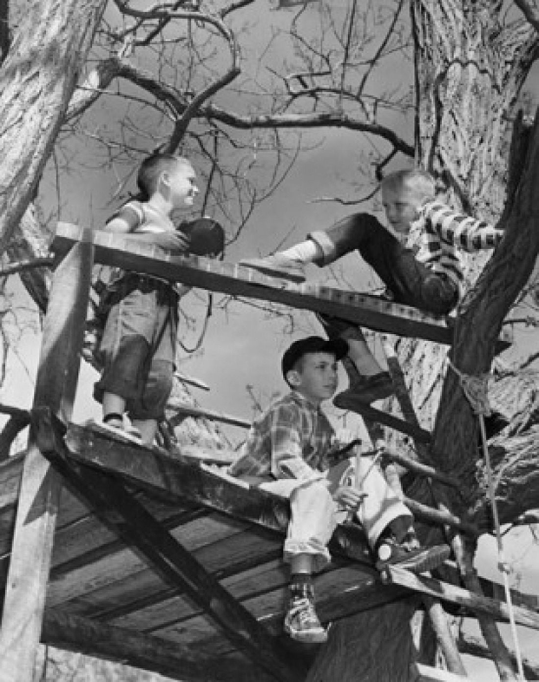 Posterazzi Three boys (8-9) playing in tree house Canvas Art -  (24 x 36)