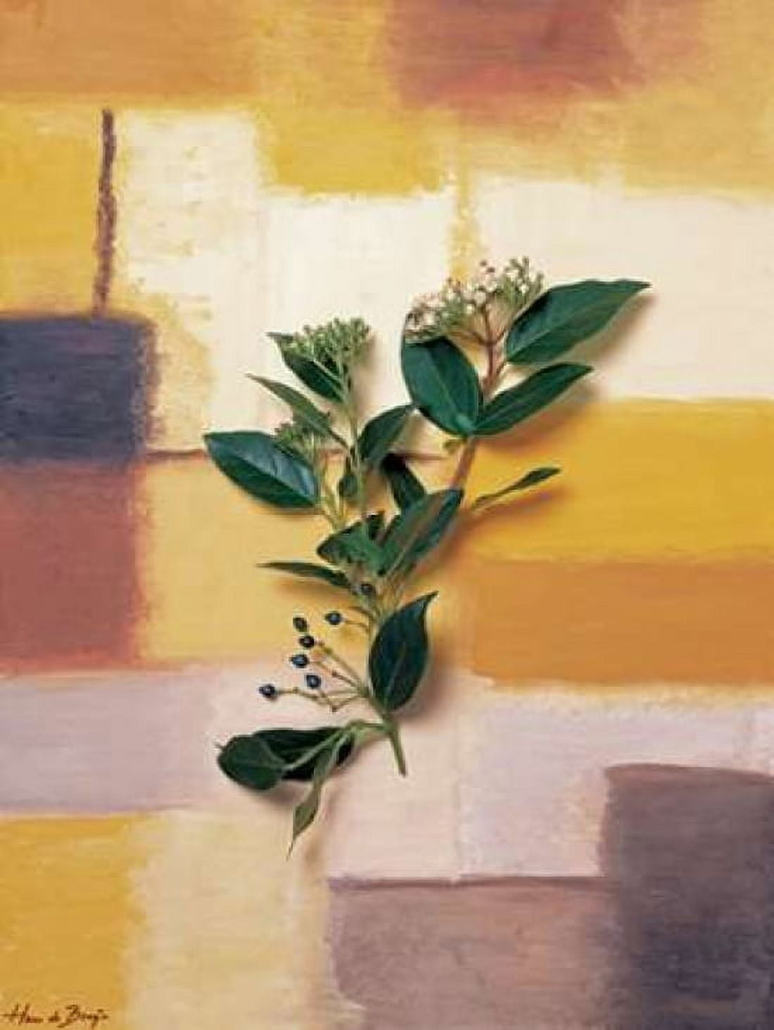 Posterazzi Timeless colours II Canvas Art - Hans de Bruijn (22 x 28)