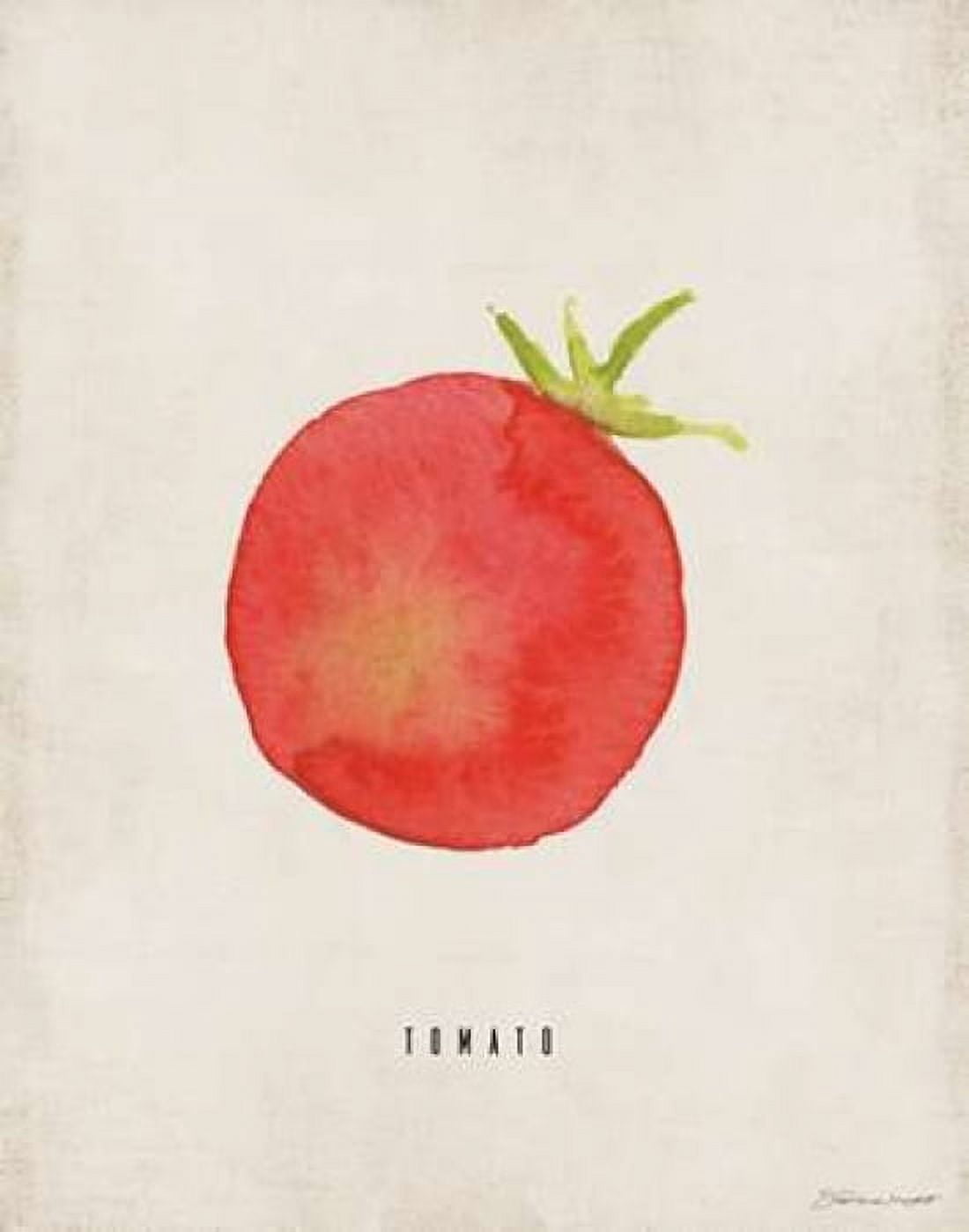 Posterazzi Tomato Canvas Art - Stephanie Marrott (22 x 28)